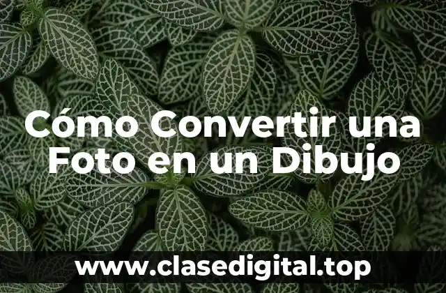 ¿Por qué Convertir una Foto en un Dibujo?