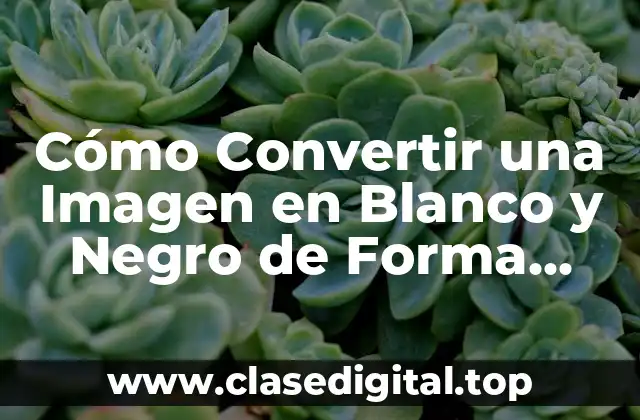Cómo Convertir una Imagen en Blanco y Negro de Forma Rápida y Fácil
