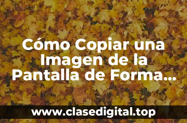 Cómo Copiar una Imagen de la Pantalla de Forma Rápida y Sencilla