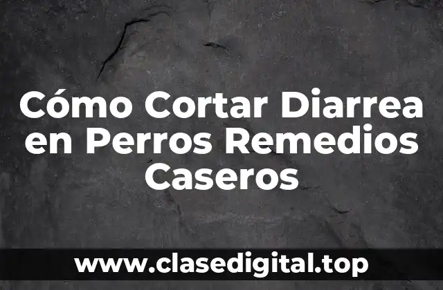 Cómo Cortar Diarrea en Perros Remedios Caseros