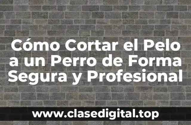 Preparación para Cortar el Pelo a un Perro