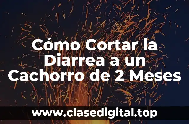 Cómo Cortar la Diarrea a un Cachorro de 2 Meses