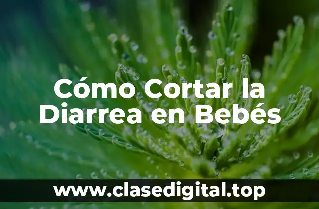 Cómo Cortar la Diarrea en Bebés