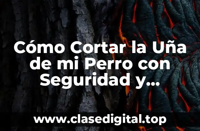 Cómo Cortar la Uña de mi Perro con Seguridad y Confianza