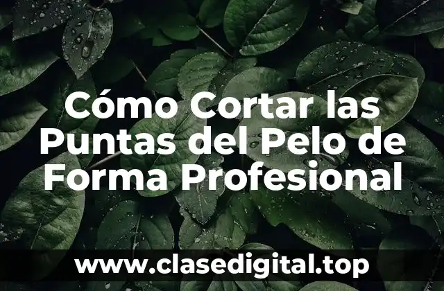 Cómo Cortar las Puntas del Pelo de Forma Profesional
