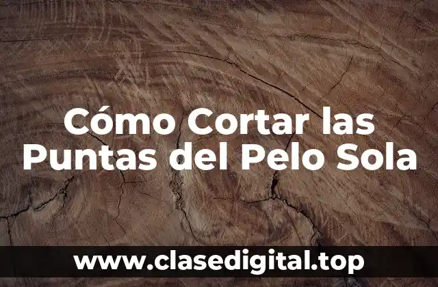 Cómo Cortar las Puntas del Pelo Sola