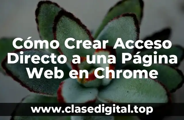 Cómo Crear Acceso Directo a una Página Web en Chrome