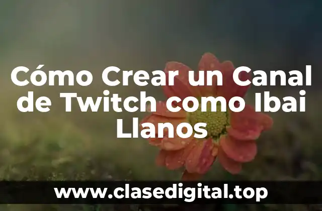 Cómo Crear un Canal de Twitch como Ibai Llanos