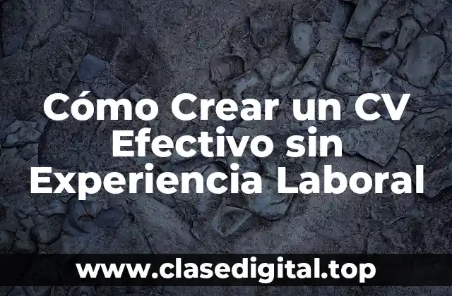 Cómo Crear un CV Efectivo sin Experiencia Laboral
