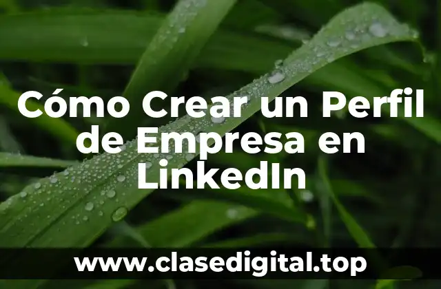 Cómo Crear un Perfil de Empresa en LinkedIn