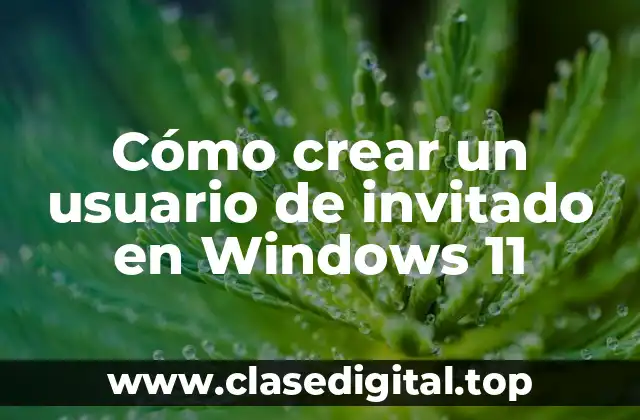 Cómo crear un usuario de invitado en Windows 11