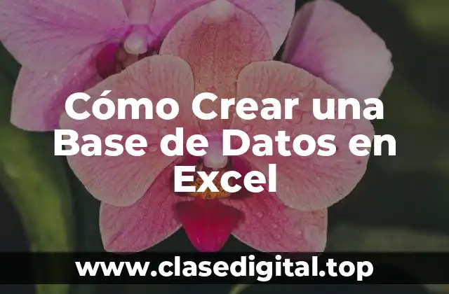 Cómo Crear una Base de Datos en Excel