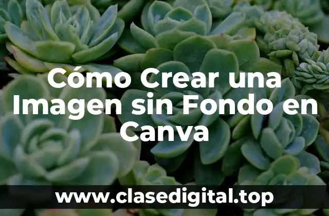 Cómo Crear una Imagen sin Fondo en Canva