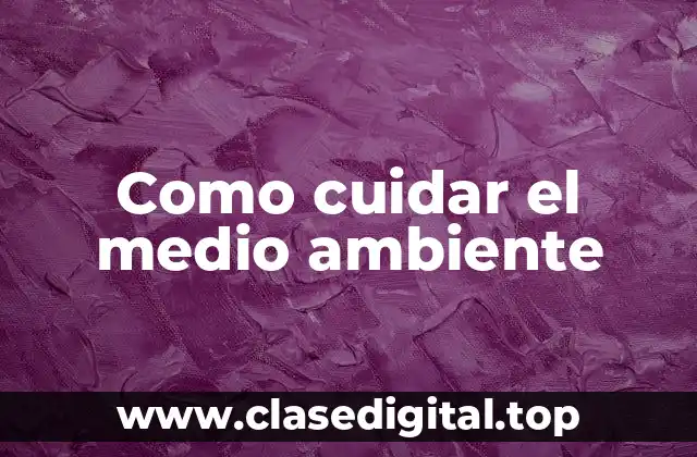 Ejemplos de cuidar el medio ambiente