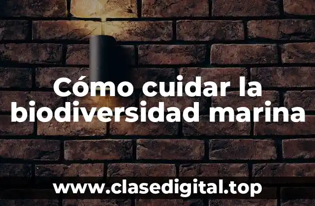 Cómo cuidar la biodiversidad marina