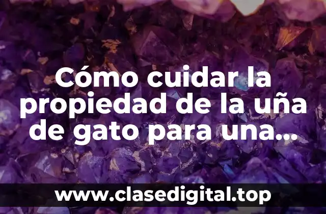 Cómo cuidar la propiedad de la uña de gato para una salud óptima