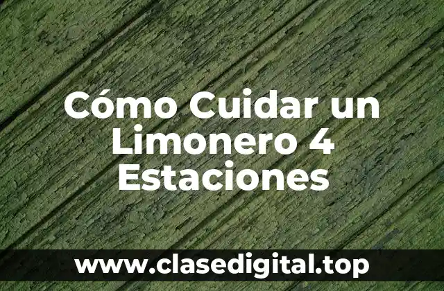 Cómo Cuidar un Limonero 4 Estaciones