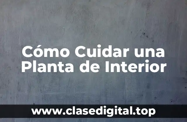 Elección de la Planta de Interior Correcta