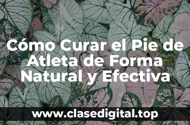 Cómo Curar el Pie de Atleta de Forma Natural y Efectiva