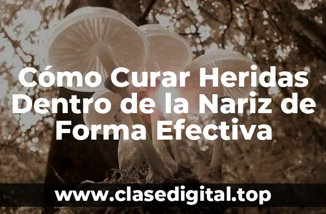 ¿Cuáles son las Causas Comunes de las Heridas Dentro de la Nariz?