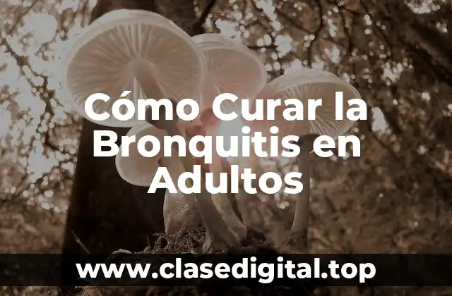 Cómo Curar la Bronquitis en Adultos