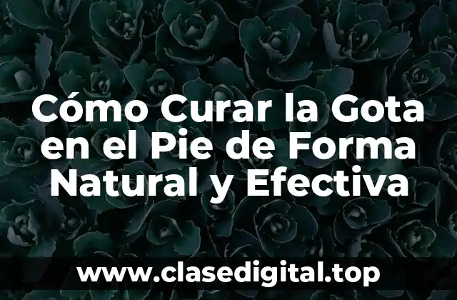 Causas de la Gota en el Pie