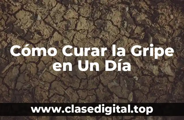 Cómo Curar la Gripe en Un Día
