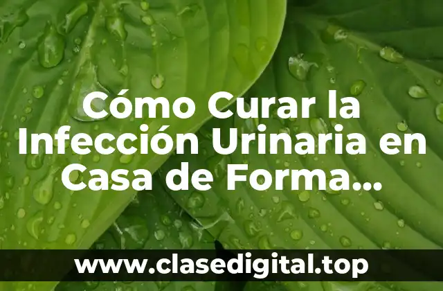 Cómo Curar la Infección Urinaria en Casa de Forma Natural y Segura