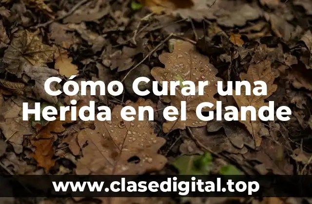 Causas Comunes de las Heridas en el Glande