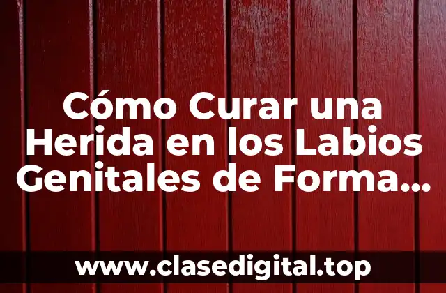 Cómo Curar una Herida en los Labios Genitales de Forma Natural y Segura