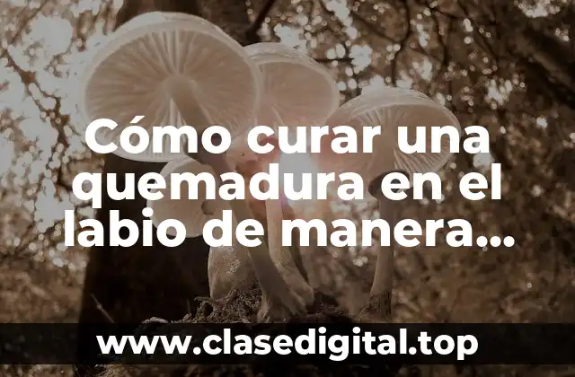 Cómo curar una quemadura en el labio de manera efectiva y rápida