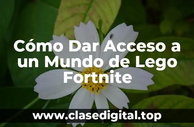 Cómo Dar Acceso a un Mundo de Lego Fortnite