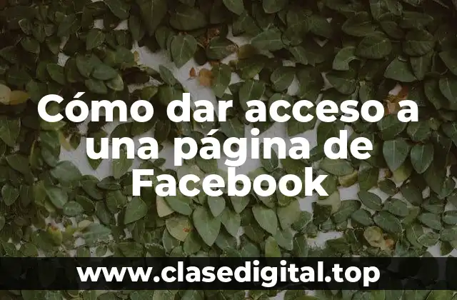 Cómo dar acceso a una página de Facebook