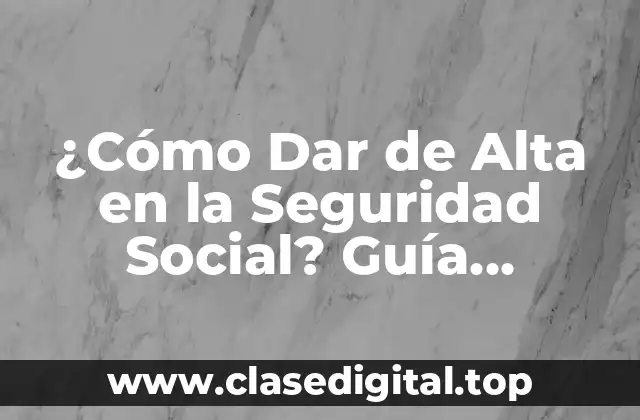¿Cómo Dar de Alta en la Seguridad Social? Guía Completa para Autónomos y Empleados