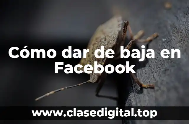 Cómo dar de baja en Facebook