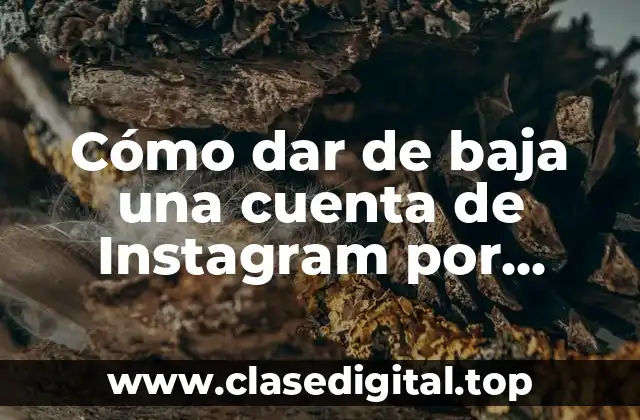 Cómo dar de baja una cuenta de Instagram por internet