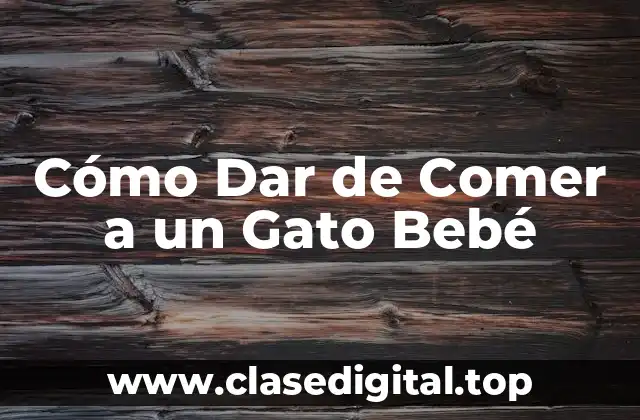 Cómo Dar de Comer a un Gato Bebé