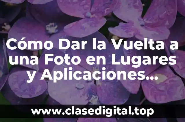 Cómo Dar la Vuelta a una Foto en Lugares y Aplicaciones Diferentes