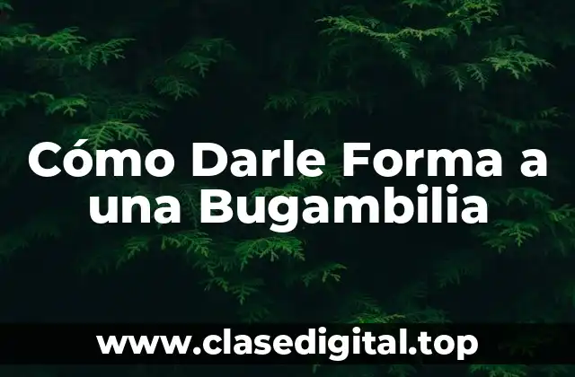 ¿Por qué Es Importante Darle Forma a una Bugambilia?