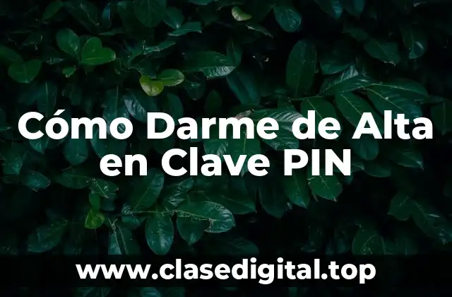 Cómo Darme de Alta en Clave PIN