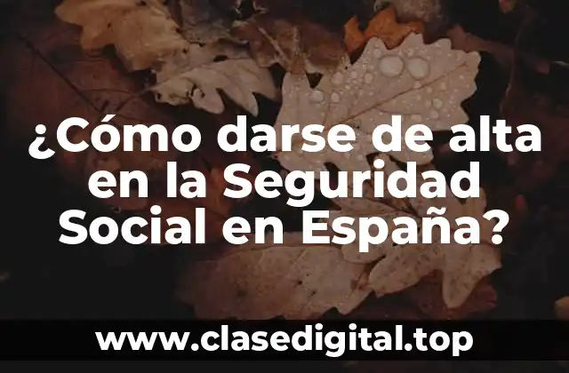 ¿Cómo darse de alta en la Seguridad Social en España?