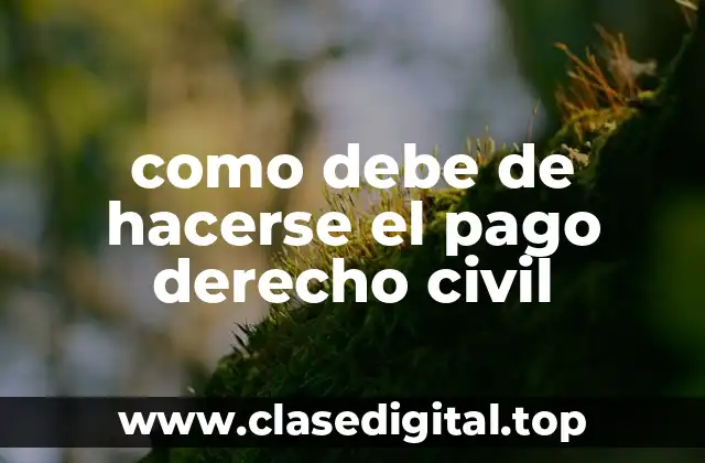 Ejemplos de pago derecho civil