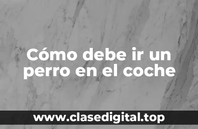 Cómo debe ir un perro en el coche