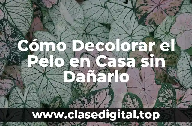 Cómo Decolorar el Pelo en Casa sin Dañarlo