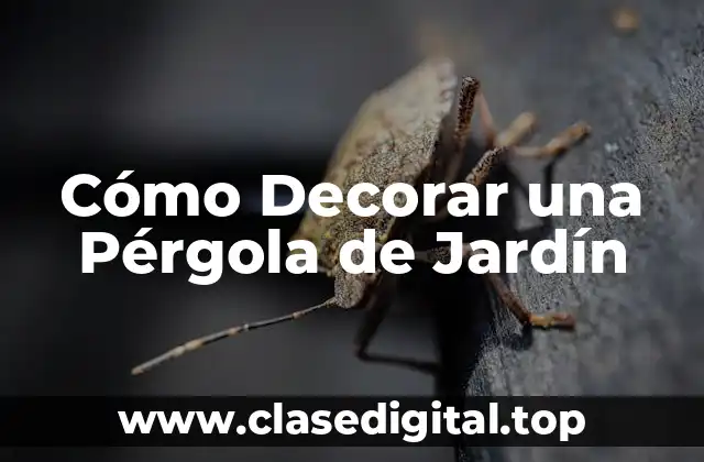 Elección de los Materiales para la Pérgola de Jardín