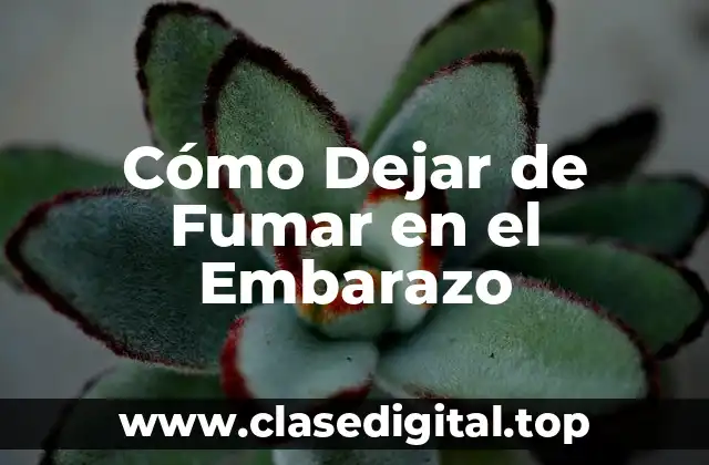 Cómo Dejar de Fumar en el Embarazo