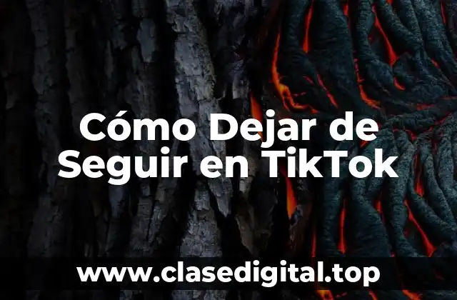 ¿Por qué Dejar de Seguir a Alguien en TikTok?