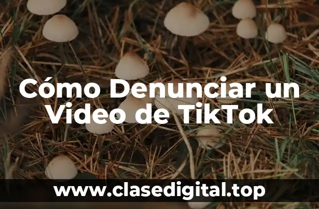 Cómo Denunciar un Video de TikTok