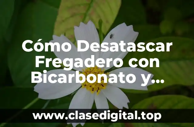 Cómo Desatascar Fregadero con Bicarbonato y Vinagre