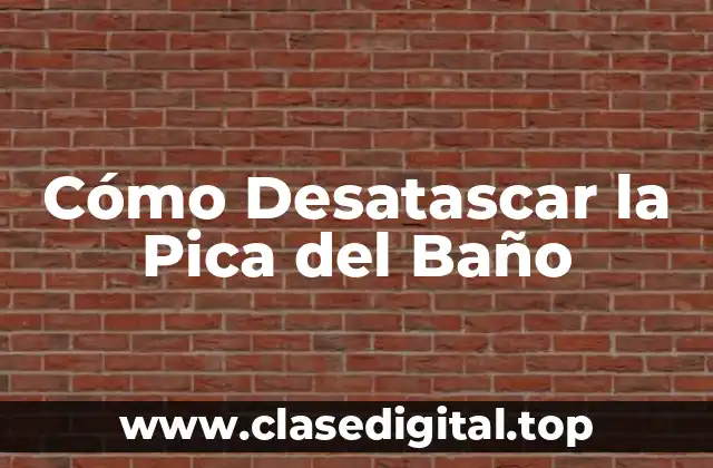 Cómo Desatascar la Pica del Baño